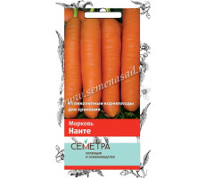 Морковь Нанте   2гр. Поиск